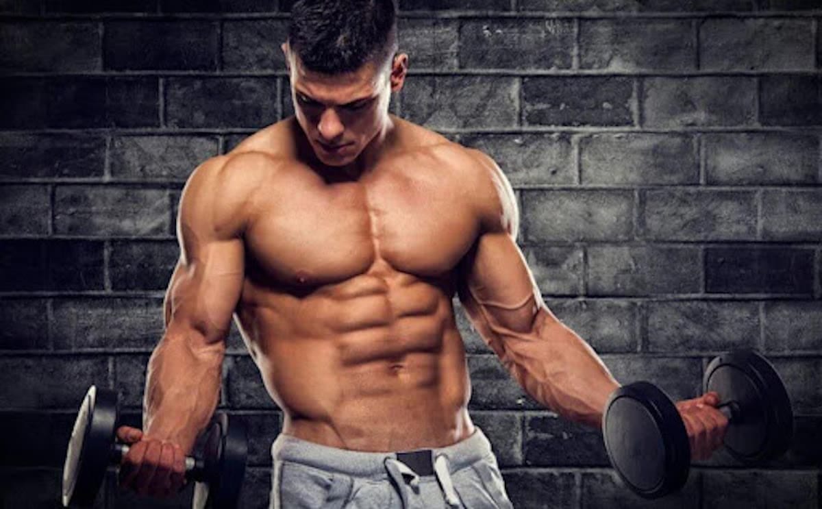 Ephedrin Kaufen: Der perfekte Fatburner für schnelle Ergebnisse