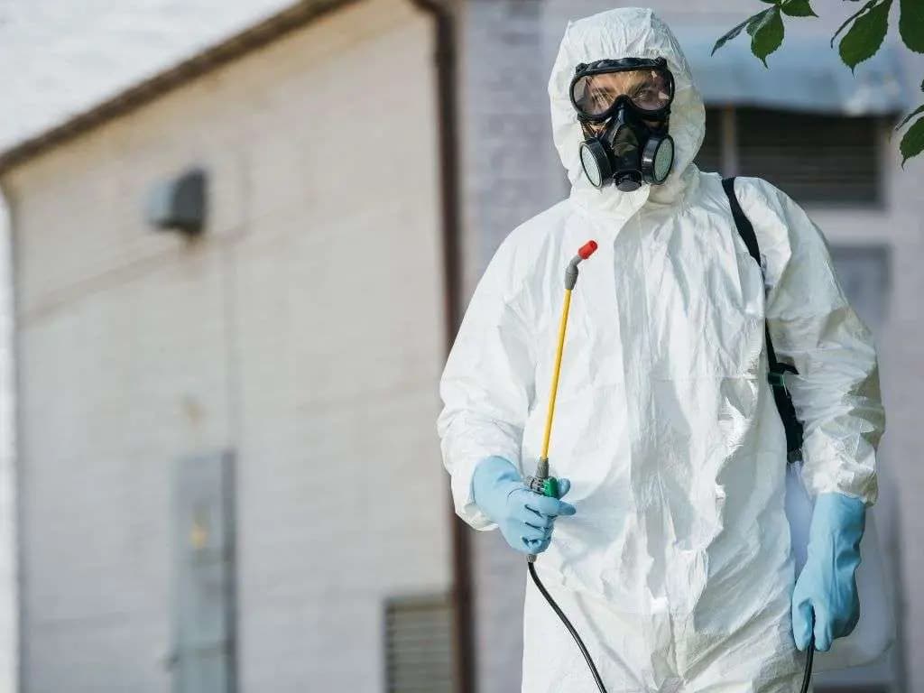 Kammerjäger Notdienst: Schutz vor Schädlingen rund um die Uhr