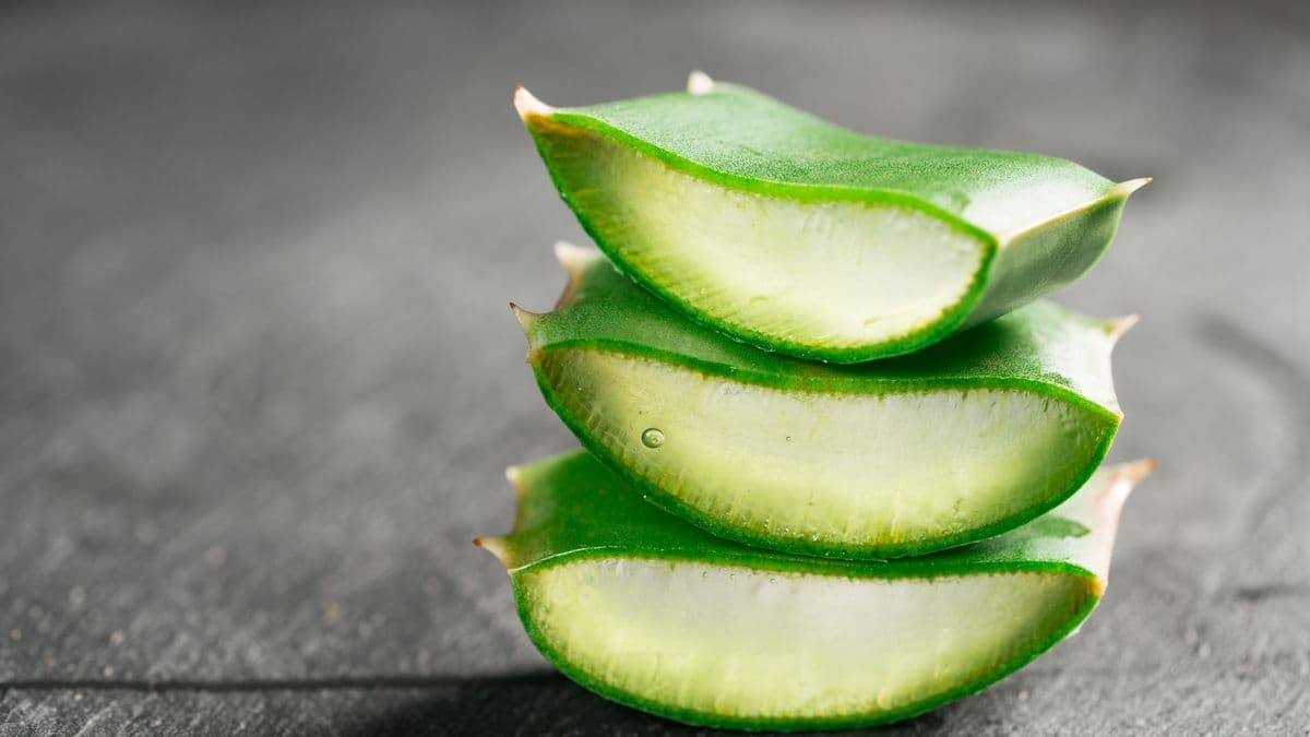 Entdecken Sie die Magie der Forever Living Aloe Vera-Produkte