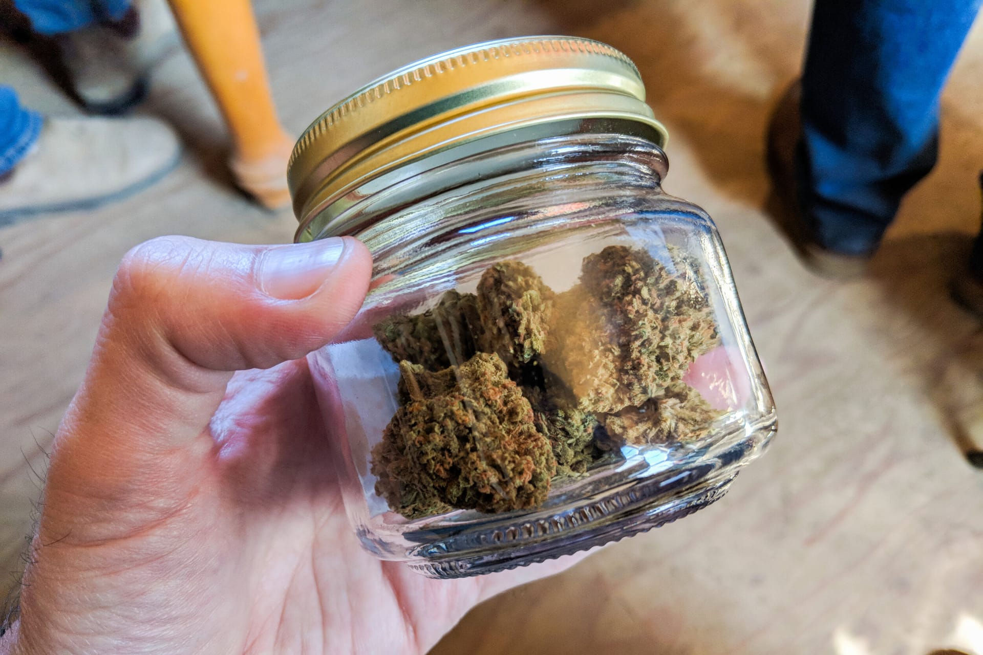 Von Experten empfohlen – Cannabissamen kaufen legal in Deutschland