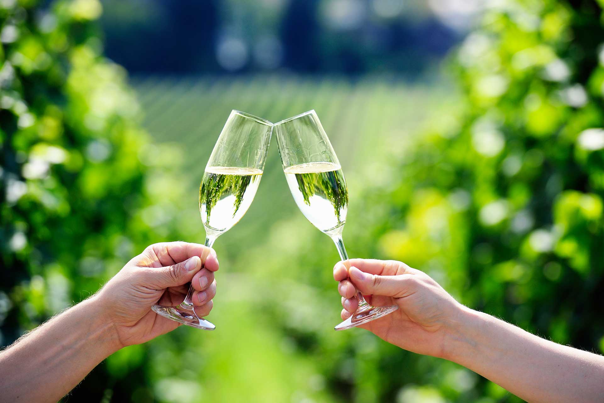 Prosecco: Das italienische Geheimnis für leichte, frische Speisen